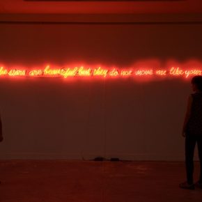 The stars are beautiful but they do not move me like your eyes, 2016, neon light, 15x500 cm