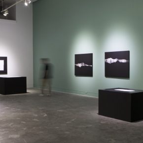 Installation view (2)